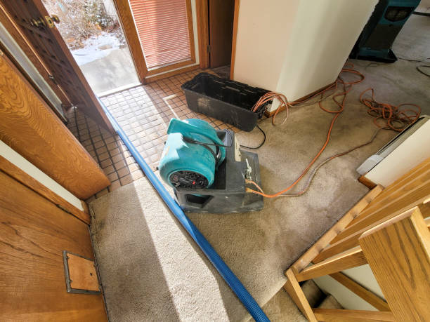 Best Water damage contractors near me  in Dexter, MI