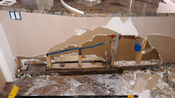 Best Water damage contractors near me  in Dexter, MI