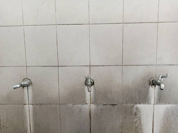 Best Water damage cleanup near me  in Dexter, MI