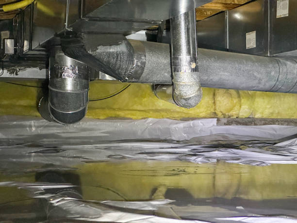 Best 24-hour water damage restoration  in Dexter, MI
