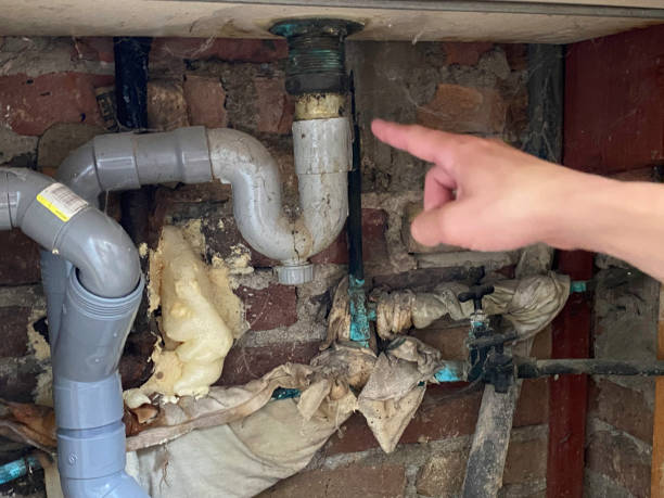 Best Flooded house restoration  in Dexter, MI