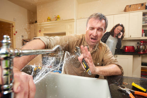 Best Water damage restoration services  in Dexter, MI